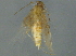  ( - BIOUG02962-A01)  @12 [ ] CreativeCommons - Attribution (2012) CBG Photography Group Centre for Biodiversity Genomics