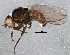  ( - BIOUG02965-E10)  @13 [ ] CreativeCommons - Attribution (2013) CBG Photography Group Centre for Biodiversity Genomics