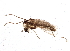  (Limnophyes sp. 14ES - BIOUG02979-C04)  @14 [ ] CreativeCommons - Attribution (2013) CBG Photography Group Centre for Biodiversity Genomics