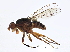  ( - BIOUG02982-A04)  @14 [ ] CreativeCommons - Attribution (2013) CBG Photography Group Centre for Biodiversity Genomics