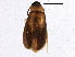  ( - BIOUG02988-A10)  @14 [ ] CreativeCommons - Attribution (2013) CBG Photography Group Centre for Biodiversity Genomics