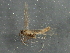  ( - BIOUG02881-H09)  @12 [ ] CreativeCommons - Attribution (2013) CBG Photography Group Centre for Biodiversity Genomics