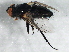  ( - BIOUG02954-A12)  @12 [ ] CreativeCommons - Attribution (2013) CBG Photography Group Centre for Biodiversity Genomics