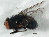  ( - BIOUG02954-B02)  @12 [ ] CreativeCommons - Attribution (2013) CBG Photography Group Centre for Biodiversity Genomics