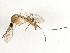  ( - BIOUG02958-B10)  @14 [ ] CreativeCommons - Attribution (2013) CBG Photography Group Centre for Biodiversity Genomics