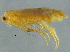  ( - BIOUG02962-E10)  @12 [ ] CreativeCommons - Attribution (2012) CBG Photography Group Centre for Biodiversity Genomics