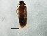  ( - BIOUG02988-F05)  @13 [ ] CreativeCommons - Attribution (2013) CBG Photography Group Centre for Biodiversity Genomics