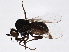  ( - BIOUG03030-D08)  @13 [ ] CreativeCommons - Attribution (2013) CBG Photography Group Centre for Biodiversity Genomics