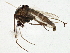  ( - BIOUG03030-D11)  @12 [ ] CreativeCommons - Attribution (2013) CBG Photography Group Centre for Biodiversity Genomics