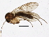  ( - BIOUG03030-F06)  @14 [ ] CreativeCommons - Attribution (2013) CBG Photography Group Centre for Biodiversity Genomics