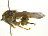  ( - BIOUG03032-G01)  @12 [ ] CreativeCommons - Attribution (2012) CBG Photography Group Centre for Biodiversity Genomics