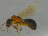  ( - BIOUG03036-D12)  @13 [ ] CreativeCommons - Attribution (2012) CBG Photography Group Centre for Biodiversity Genomics