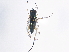  ( - BIOUG03037-A10)  @12 [ ] CreativeCommons - Attribution (2013) CBG Photography Group Centre for Biodiversity Genomics