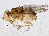 ( - BIOUG03062-B09)  @13 [ ] CreativeCommons - Attribution (2013) CBG Photography Group Centre for Biodiversity Genomics