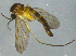  ( - BIOUG03068-F01)  @12 [ ] CreativeCommons - Attribution (2012) CBG Photography Group Centre for Biodiversity Genomics