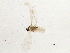  ( - BIOUG03039-C05)  @12 [ ] CreativeCommons - Attribution (2013) CBG Photography Group Centre for Biodiversity Genomics