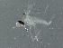  ( - BIOUG03213-E12)  @12 [ ] CreativeCommons - Attribution (2013) CBG Photography Group Centre for Biodiversity Genomics