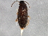  ( - BIOUG03065-H07)  @13 [ ] CreativeCommons - Attribution (2013) CBG Photography Group Centre for Biodiversity Genomics