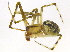  ( - BIOUG03132-B12)  @12 [ ] CreativeCommons - Attribution (2012) CBG Photography Group Centre for Biodiversity Genomics