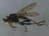  ( - BIOUG03268-H01)  @12 [ ] CreativeCommons - Attribution (2012) CBG Photography Group Centre for Biodiversity Genomics