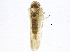  ( - BIOUG03342-C06)  @14 [ ] CreativeCommons - Attribution (2012) CBG Photography Group Centre for Biodiversity Genomics