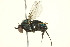  ( - BIOUG03372-B08)  @14 [ ] CreativeCommons - Attribution (2013) CBG Photography Group Centre for Biodiversity Genomics
