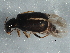  ( - BIOUG03260-C09)  @13 [ ] CreativeCommons - Attribution (2013) CBG Photography Group Centre for Biodiversity Genomics