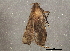  ( - BIOUG03266-F07)  @13 [ ] CreativeCommons - Attribution (2013) CBG Photography Group Centre for Biodiversity Genomics