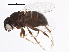  ( - BIOUG03448-B04)  @12 [ ] CreativeCommons - Attribution (2013) CBG Photography Group Centre for Biodiversity Genomics
