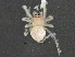  ( - BIOUG03561-A05)  @12 [ ] CreativeCommons - Attribution (2013) CBG Photography Group Centre for Biodiversity Genomics