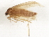  ( - BIOUG03266-G01)  @12 [ ] CreativeCommons - Attribution (2013) CBG Photography Group Centre for Biodiversity Genomics