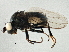  ( - BIOUG03569-E08)  @14 [ ] CreativeCommons - Attribution (2013) CBG Photography Group Centre for Biodiversity Genomics