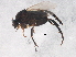 ( - BIOUG03687-C09)  @12 [ ] CreativeCommons - Attribution (2013) CBG Photography Group Centre for Biodiversity Genomics