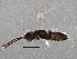  ( - BIOUG03740-C04)  @13 [ ] CreativeCommons - Attribution (2013) CBG Photography Group Centre for Biodiversity Genomics