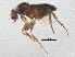  ( - BIOUG03749-G06)  @13 [ ] CreativeCommons - Attribution (2013) CBG Photography Group Centre for Biodiversity Genomics