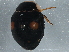  ( - BIOUG03515-F08)  @13 [ ] CreativeCommons - Attribution (2013) CBG Photography Group Centre for Biodiversity Genomics