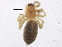  ( - BIOUG03520-D07)  @12 [ ] CreativeCommons - Attribution (2013) CBG Photography Group Centre for Biodiversity Genomics