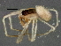  ( - BIOUG03561-D09)  @12 [ ] CreativeCommons - Attribution (2013) CBG Photography Group Centre for Biodiversity Genomics