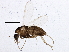  ( - BIOUG03763-D07)  @14 [ ] CreativeCommons - Attribution (2013) CBG Photography Group Centre for Biodiversity Genomics