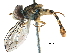  ( - BIOUG03766-E07)  @14 [ ] CreativeCommons - Attribution (2016) CBG Photography Group Centre for Biodiversity Genomics