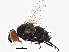  ( - BIOUG03821-F07)  @13 [ ] CreativeCommons - Attribution (2013) CBG Photography Group Centre for Biodiversity Genomics