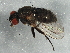 ( - BIOUG02381-H02)  @13 [ ] CreativeCommons - Attribution (2013) CBG Photography Group Centre for Biodiversity Genomics