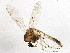  ( - BIOUG02381-H08)  @13 [ ] CreativeCommons - Attribution (2013) CBG Photography Group Centre for Biodiversity Genomics