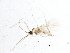  ( - BIOUG03826-B02)  @12 [ ] CreativeCommons - Attribution (2013) CBG Photography Group Centre for Biodiversity Genomics