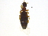  ( - BIOUG03515-G08)  @13 [ ] CreativeCommons - Attribution (2012) CBG Photography Group Centre for Biodiversity Genomics