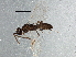  ( - BIOUG03904-H05)  @13 [ ] CreativeCommons - Attribution (2013) CBG Photography Group Centre for Biodiversity Genomics