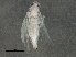  ( - BIOUG03926-H07)  @13 [ ] CreativeCommons - Attribution (2013) CBG Photography Group Centre for Biodiversity Genomics