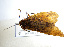  ( - 09NJAU-270)  @11 [ ] CreativeCommons - Attribution (2010) Unspecified Centre for Biodiversity Genomics