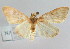  ( - NAFU Pyr000080)  @11 [ ] Copyright (2010) Unspecified Northwest Agriculture and Forest University