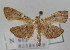  ( - NAFU Pyr000119)  @13 [ ] Copyright (2010) Unspecified Northwest Agriculture and Forest University